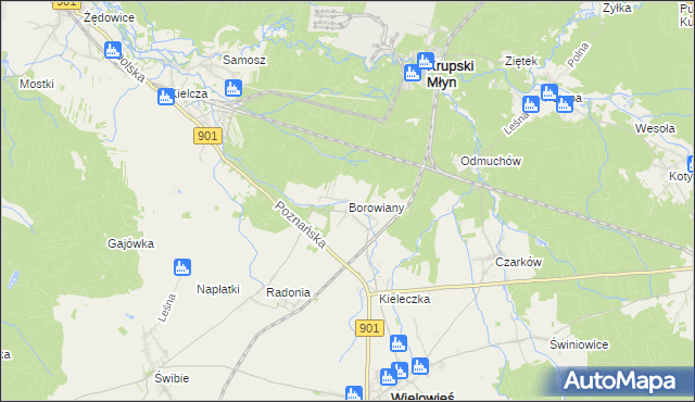 mapa Borowiany, Borowiany na mapie Targeo