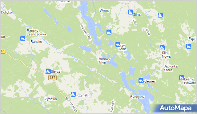 mapa Borowy Młyn gmina Pszczew, Borowy Młyn gmina Pszczew na mapie Targeo