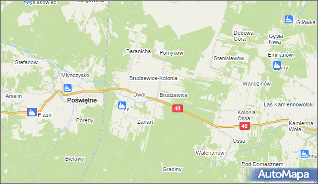 mapa Brudzewice gmina Poświętne, Brudzewice gmina Poświętne na mapie Targeo