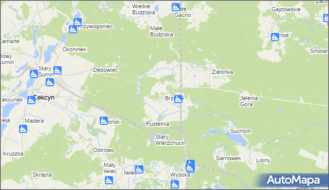 mapa Brzozie gmina Cekcyn, Brzozie gmina Cekcyn na mapie Targeo