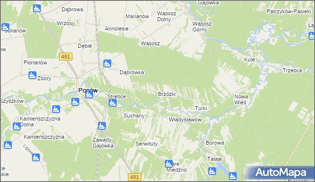 mapa Brzózki gmina Popów, Brzózki gmina Popów na mapie Targeo