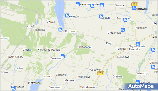 mapa Brzozogaj gmina Ostrowite, Brzozogaj gmina Ostrowite na mapie Targeo