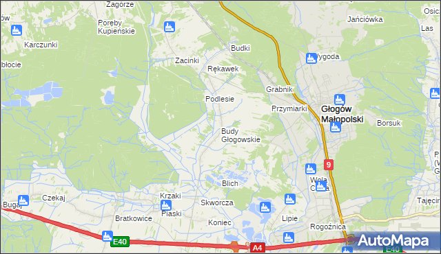 mapa Budy Głogowskie, Budy Głogowskie na mapie Targeo