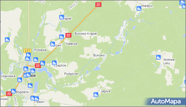 mapa Bukowo gmina Człopa, Bukowo gmina Człopa na mapie Targeo