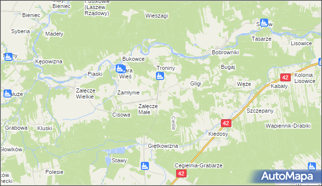 mapa Cieśle gmina Pątnów, Cieśle gmina Pątnów na mapie Targeo