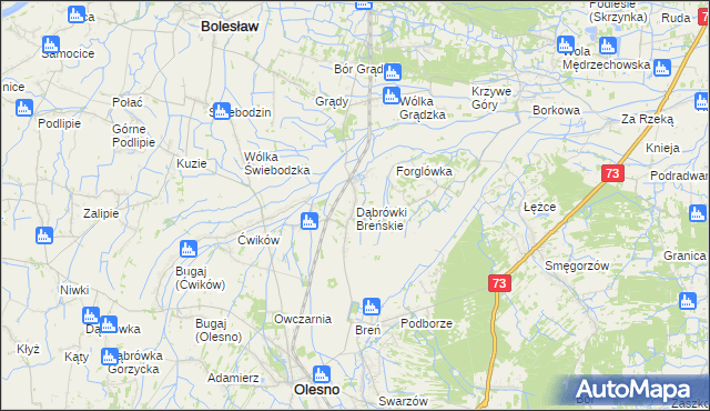 mapa Dąbrówki Breńskie, Dąbrówki Breńskie na mapie Targeo