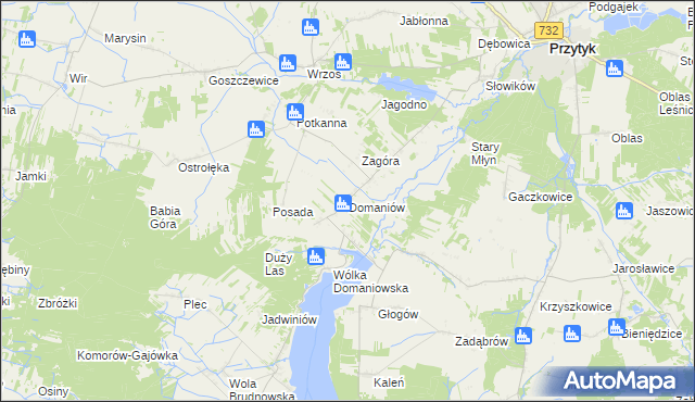 mapa Domaniów gmina Przytyk, Domaniów gmina Przytyk na mapie Targeo