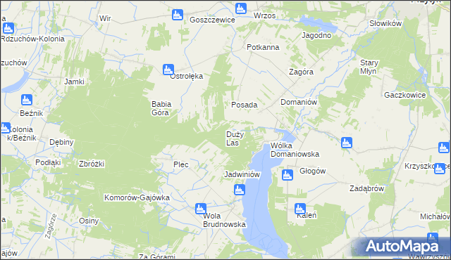 mapa Duży Las gmina Przytyk, Duży Las gmina Przytyk na mapie Targeo