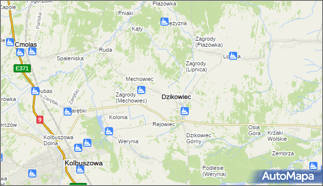 mapa Dzikowiec powiat kolbuszowski, Dzikowiec powiat kolbuszowski na mapie Targeo