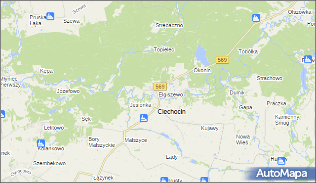 mapa Elgiszewo, Elgiszewo na mapie Targeo