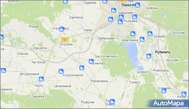 mapa Gaj Koniemłocki, Gaj Koniemłocki na mapie Targeo
