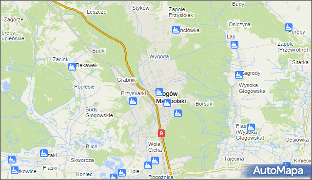 mapa Głogów Małopolski, Głogów Małopolski na mapie Targeo