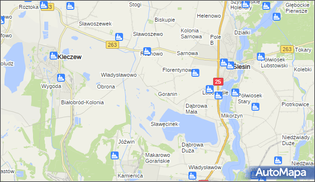 mapa Goranin gmina Ślesin, Goranin gmina Ślesin na mapie Targeo