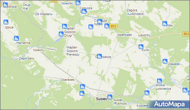 mapa Grabowica gmina Susiec, Grabowica gmina Susiec na mapie Targeo