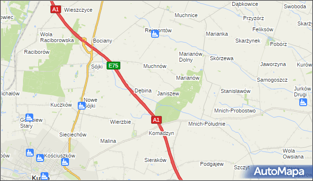 mapa Janiszew gmina Strzelce, Janiszew gmina Strzelce na mapie Targeo