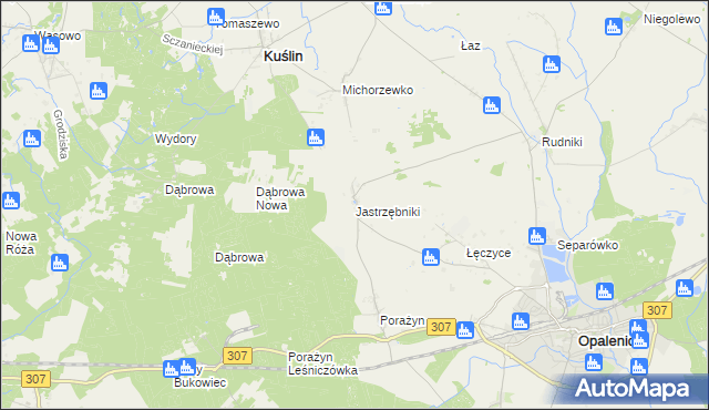 mapa Jastrzębniki gmina Opalenica, Jastrzębniki gmina Opalenica na mapie Targeo