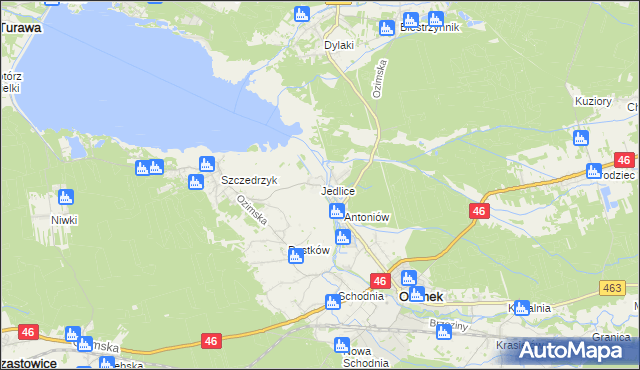 mapa Jedlice gmina Ozimek, Jedlice gmina Ozimek na mapie Targeo