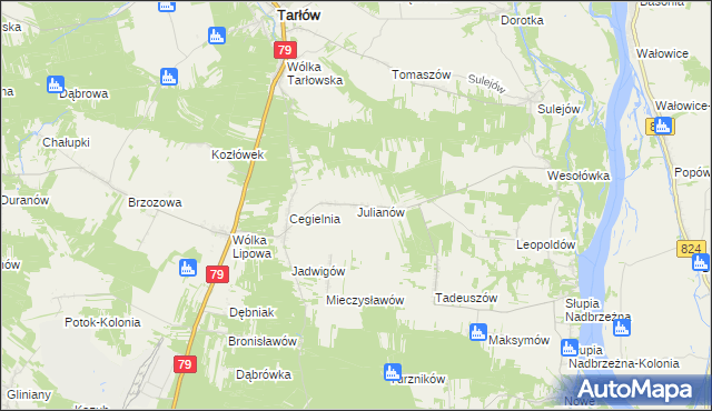 mapa Julianów gmina Tarłów, Julianów gmina Tarłów na mapie Targeo