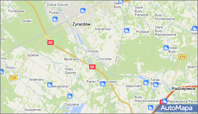 mapa Korytów gmina Radziejowice, Korytów gmina Radziejowice na mapie Targeo