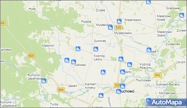 mapa Koziróg Leśny, Koziróg Leśny na mapie Targeo