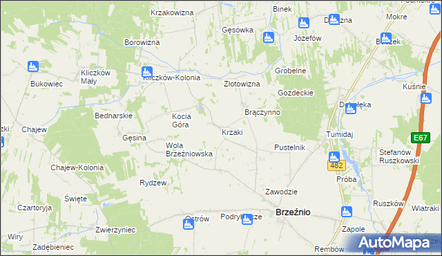 mapa Krzaki gmina Brzeźnio, Krzaki gmina Brzeźnio na mapie Targeo