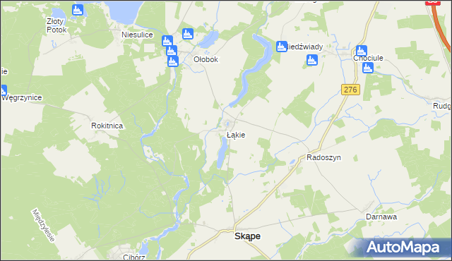 mapa Łąkie gmina Skąpe, Łąkie gmina Skąpe na mapie Targeo
