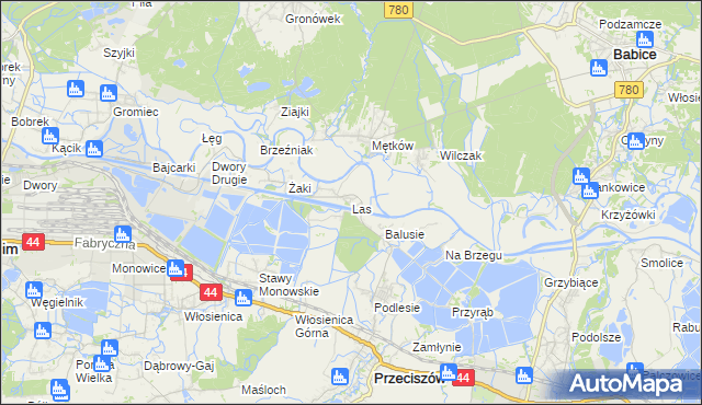 mapa Las gmina Przeciszów, Las gmina Przeciszów na mapie Targeo