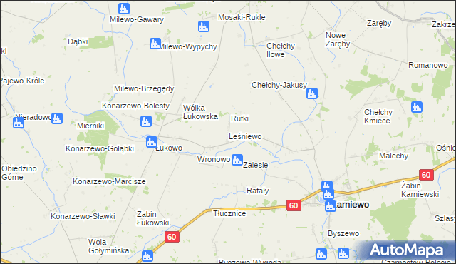 mapa Leśniewo gmina Karniewo, Leśniewo gmina Karniewo na mapie Targeo
