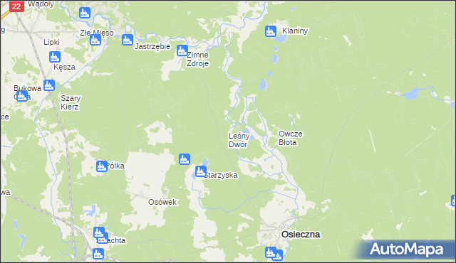 mapa Leśny Dwór gmina Osieczna, Leśny Dwór gmina Osieczna na mapie Targeo