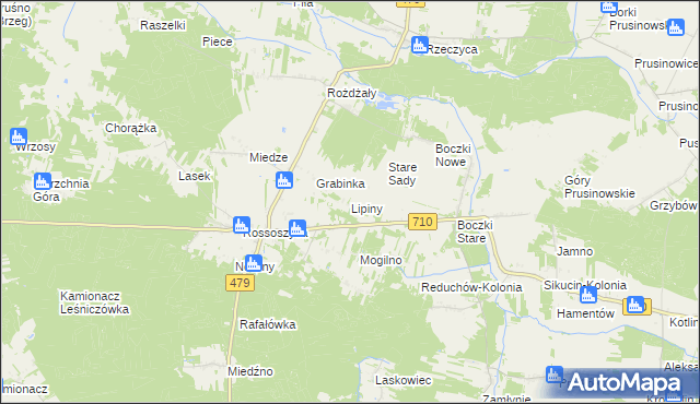 mapa Lipiny gmina Warta, Lipiny gmina Warta na mapie Targeo
