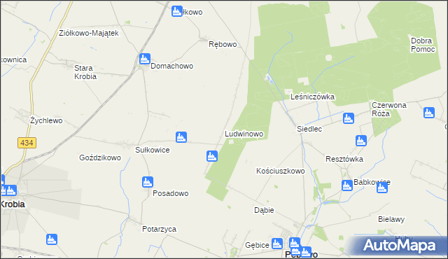 mapa Ludwinowo gmina Pępowo, Ludwinowo gmina Pępowo na mapie Targeo