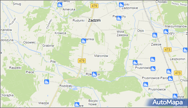 mapa Marcinów gmina Zadzim, Marcinów gmina Zadzim na mapie Targeo