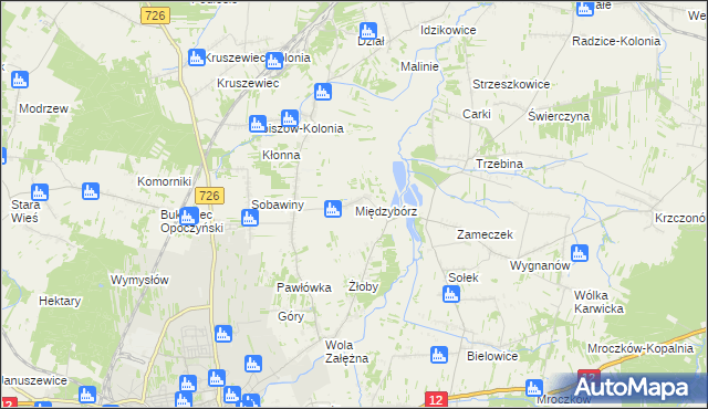 mapa Międzybórz gmina Opoczno, Międzybórz gmina Opoczno na mapie Targeo