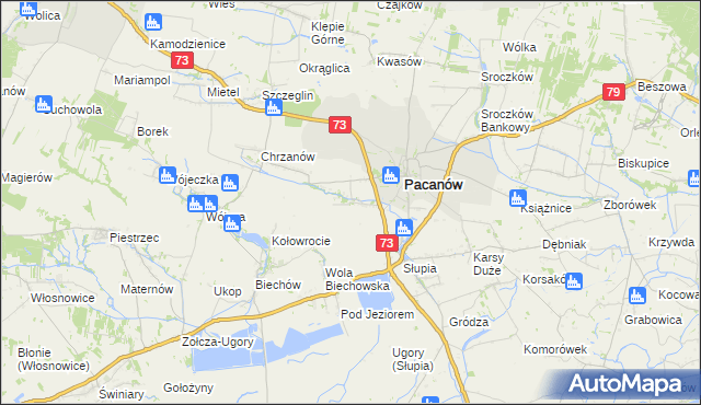 mapa Niegosławice gmina Pacanów, Niegosławice gmina Pacanów na mapie Targeo