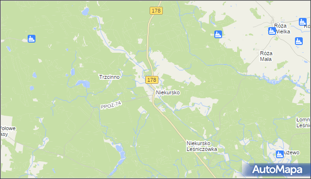 mapa Niekursko, Niekursko na mapie Targeo