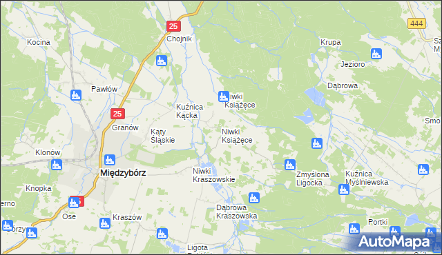 mapa Niwki Książęce gmina Międzybórz, Niwki Książęce gmina Międzybórz na mapie Targeo