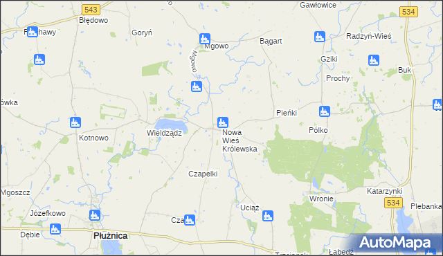 mapa Nowa Wieś Królewska gmina Płużnica, Nowa Wieś Królewska gmina Płużnica na mapie Targeo