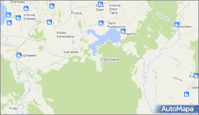 mapa Orzechówka gmina Rajgród, Orzechówka gmina Rajgród na mapie Targeo