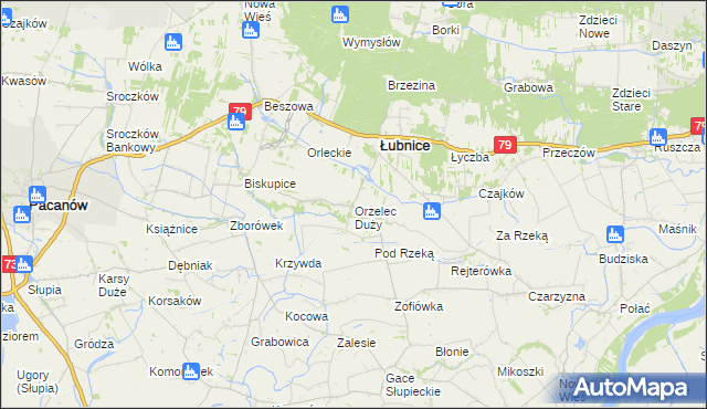mapa Orzelec Duży, Orzelec Duży na mapie Targeo