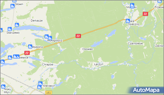 mapa Osowiec gmina Dobiegniew, Osowiec gmina Dobiegniew na mapie Targeo
