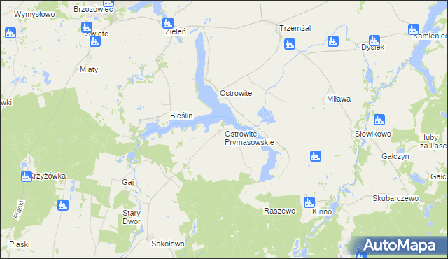 mapa Ostrowite Prymasowskie, Ostrowite Prymasowskie na mapie Targeo
