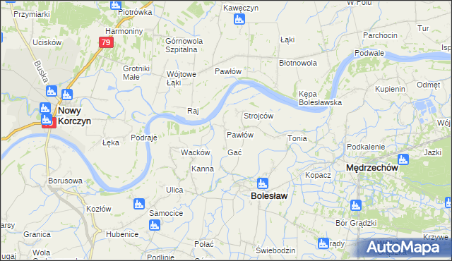 mapa Pawłów gmina Bolesław, Pawłów gmina Bolesław na mapie Targeo