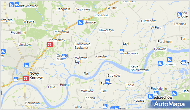 mapa Pawłów gmina Nowy Korczyn, Pawłów gmina Nowy Korczyn na mapie Targeo