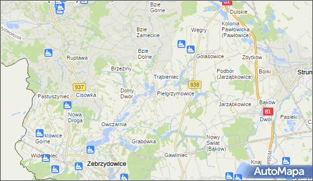 mapa Pielgrzymowice gmina Pawłowice, Pielgrzymowice gmina Pawłowice na mapie Targeo