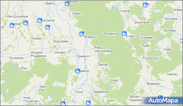 mapa Plęsy gmina Galewice, Plęsy gmina Galewice na mapie Targeo