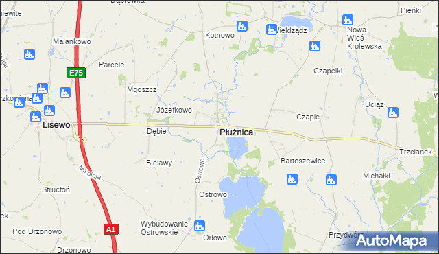 mapa Płużnica, Płużnica na mapie Targeo