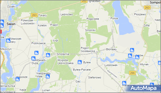 mapa Pogoń Gosławicka, Pogoń Gosławicka na mapie Targeo