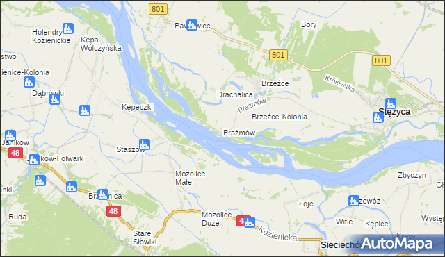 mapa Prażmów gmina Stężyca, Prażmów gmina Stężyca na mapie Targeo