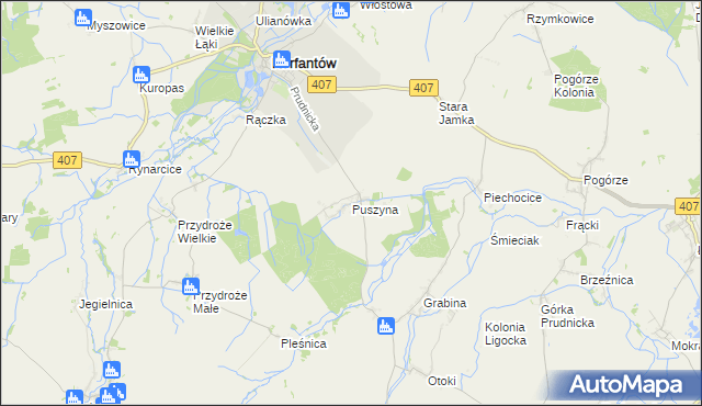 mapa Puszyna, Puszyna na mapie Targeo