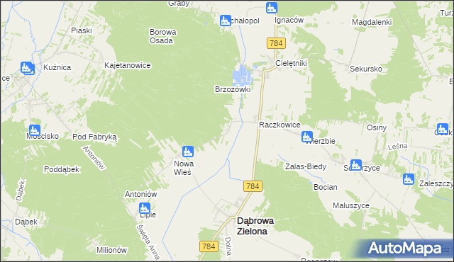 mapa Raczkowice-Kolonia, Raczkowice-Kolonia na mapie Targeo